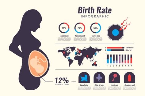 Birth rate infographic | Free Vector #Freepik #freevector #infographic #template #graph #child Best Foods During Pregnancy, 3d Infographic, Fertilization Process, Healthcare Infographics, Process Infographic, Infographic Elements, Birth Rate, Pregnancy Signs, Infographic Template