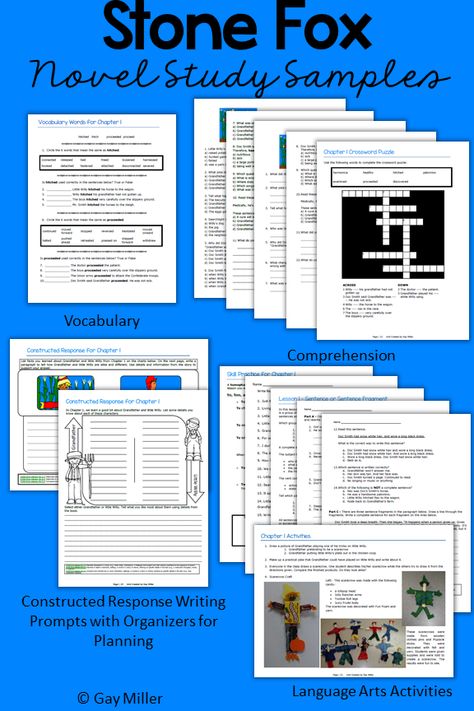 Stone Fox Stone Fox Activities, Stone Fox Novel Study, 2nd Grade Classroom Management, Lesson Organization, Plot Map, Constructed Response, Refugee Camps, Classroom Idea, Map Activities
