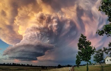 Supercell Thunderstorm, Tornado Alley, Storm Photography, Wild Weather, Storm Clouds, Natural Phenomena, Tornado, The Sky, Trees