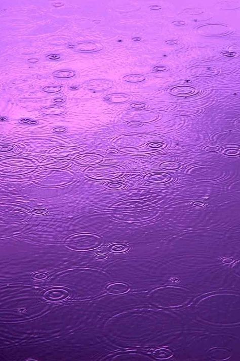 ♪ ♪ Purple Rain ♪ ♪ Iphone13 Aesthetic, Nature 4k, Prince Purple Rain, 2020 Movies, Radiant Orchid, Purple Reign, Purple Love, All Things Purple, 4k Wallpaper