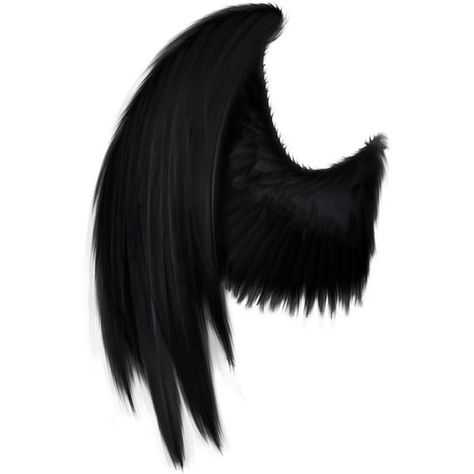 Black Angel Wings SPN ��❤ liked on Polyvore featuring wings, fillers, accessories, backgrounds and other Fallen Angel Wings, Angel Wings Png, Angel Wings Costume, Wings Png, Demon Wings, Black Angel Wings, Wings Drawing, Black Angel, Wings Art