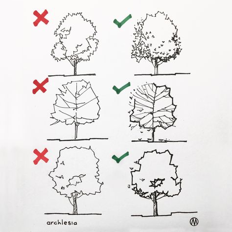 Drawing of trees in architectural sketches Follow @archlesia_en for more! Architectural Trees, Architecture Drawing Presentation, Tree Sketch, Architecture Drawing Sketchbooks, Landscape Architecture Drawing, Perspective Drawing Architecture, Architecture Drawing Plan, Architectural Sketches, Architecture Sketchbook