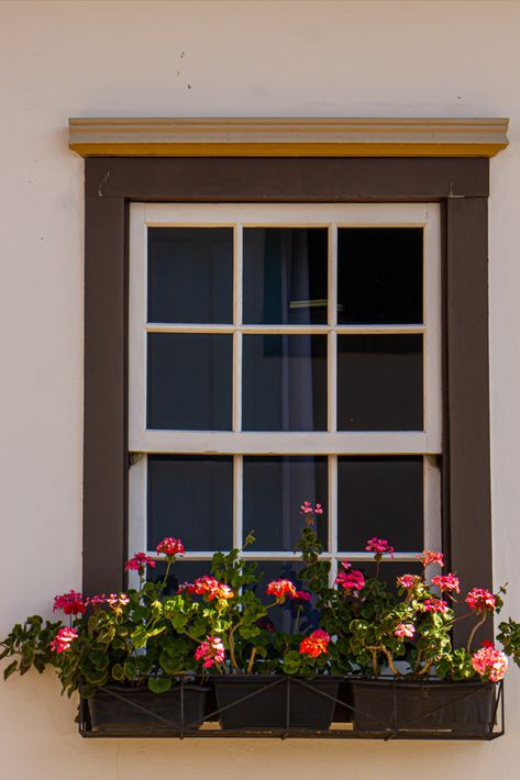 Window with Flowers on the Windowsill Flower Bed Window Sill, Flowers On Window Sill Outside, Windowsill Planter Outdoor, Window Sill Flower Boxes, Outside Window Decor, Window Sill Flowers, Window Arrangements, Window Sill Garden, Windowsill Flowers