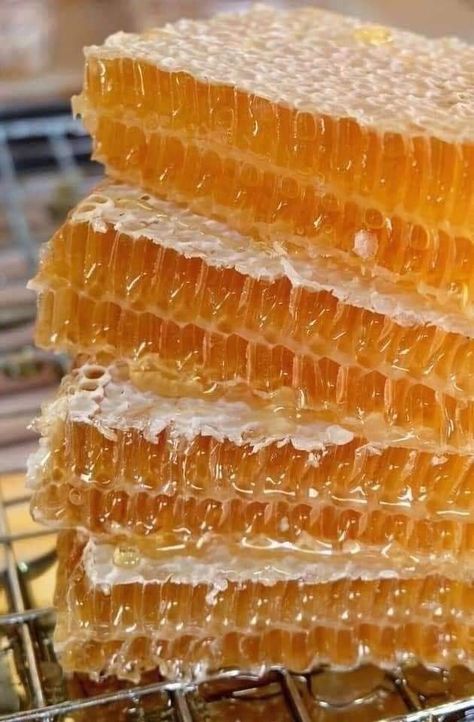 Honeycomb Aesthetic, Honeycomb Food, Pure Honey, Love Eat, Food Goals, Cafe Food, Save Food, Pretty Food, Cute Food