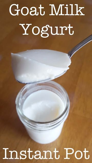 Yogurt Ideas, Goat Milk Yogurt, Goat Milk Recipes, Instant Pot Yogurt, Goat Recipes, Making Yogurt, Dairy Allergy, Yogurt Maker, Dairy Goats