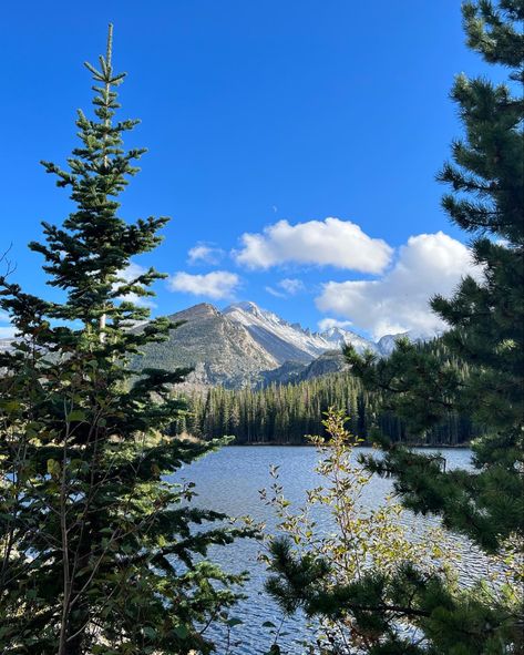 Colorado Aesthetic, Mountain Aesthetic, Pretty Landscapes, Rocky Mountain National Park, Future Travel, Pine Trees, Nature Aesthetic, Pretty Places, Rocky Mountain