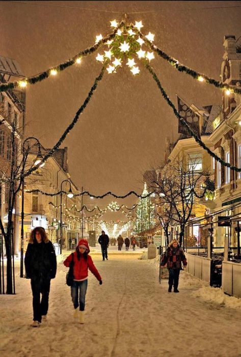 Norway Kristiansand, Kristiansand Norway, Norway Christmas, Norwegian Heritage, Norway Winter, Norwegian Christmas, Beautiful Norway, Nordic Countries, Norway Travel