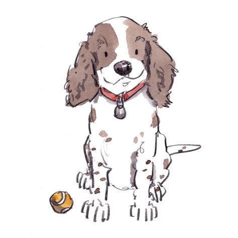 Springer week – Iain Welch Art and Design Dog Table Numbers, Boy Doodle Art, Kitty Sketch, Pan Illustration, Boy Doodle, Cartoon Dog Drawing, Contact Photos, Pets Illustration, Small Dog Tattoos