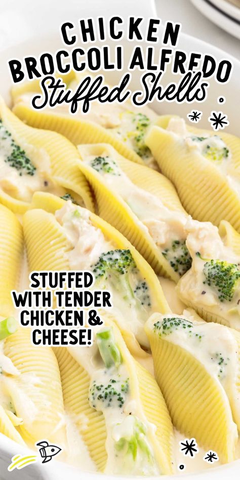 Chicken And Broccoli Stuffed Shells, Broccoli Stuffed Shells, Chicken Alfredo Stuffed Shells, Alfredo Stuffed Shells, Chicken Stuffed Shells, Creamy Alfredo Sauce, Chicken Broccoli Alfredo, Broccoli Alfredo, Dark Boho