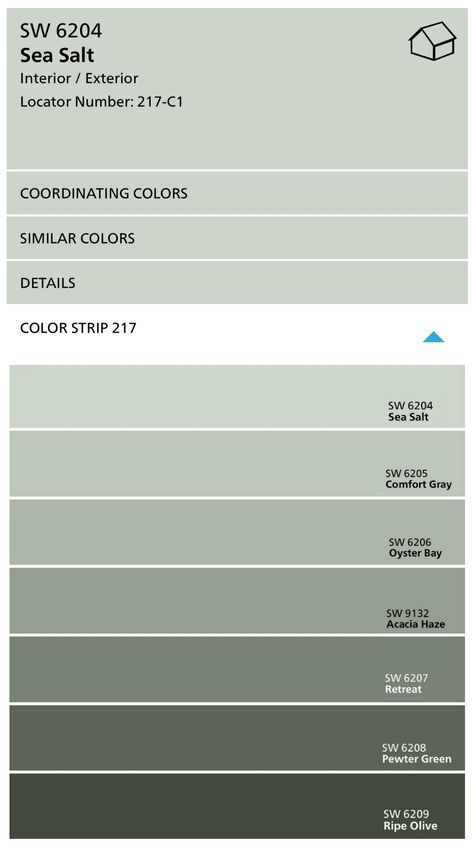 Sherwin Williams Color Strip with Sea Salt and Comfort Gray Almost White Green Paint, Priveledge Green Sherwin Williams, Frosted Fern Sherwin Williams, Sea Salt Paint, Sherwin Williams Sea Salt, Sea Salt Sherwin Williams, Interior Paint Colors Schemes, Colour Swatches, Bathroom Paint