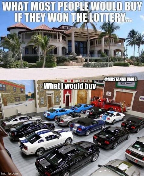 Mustang Humor, Winning The Lottery, Mustang, Humor, Cars, Memes, Humour