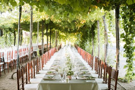 Geyserville Wedding – Trentadue Winery: Grace + Mike Napa Winery, Napa Wineries, Circle Bar, Winery Tours, Wedding Destinations, Wedding Venue Decorations, Venue Decorations, Vendor Events, Best Wine