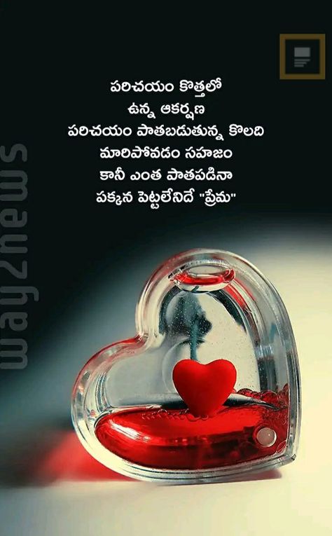 Love Telugu Quotes, Love Telugu, Love Quotes In Telugu, Quotes In Telugu, Telugu Quotes, Cute Love Quotes For Him, Cute Love Quotes, Quotes For Him, Love Quotes For Him