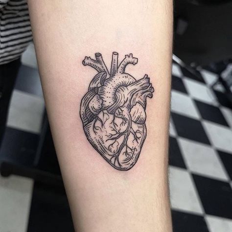 Real Heart Tattoos, Human Heart Tattoo, Tattoo Artistic, Realistic Heart Tattoo, Anatomical Tattoos, Anatomical Heart Tattoo, Engraving Tattoo, Arm Band Tattoo, Heart Tattoo Designs