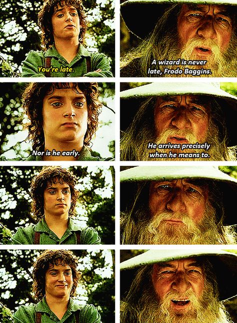 This is what happens whenever someone tells me I'm late/early. Then nobody but me laughs because I'm a nerd. A Wizard Is Never Late, Concerning Hobbits, Straight Face, The Hobbit Movies, Frodo Baggins, Fellowship Of The Ring, The Shire, Celebrities Humor, Legolas