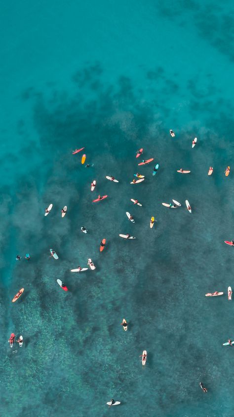 People Swimming, Surf Aesthetic, Hawaii Surf, Amazon Travel, Waikiki Beach, In The Ocean, Drone Photography, Aerial Photography, Photoshop Lightroom