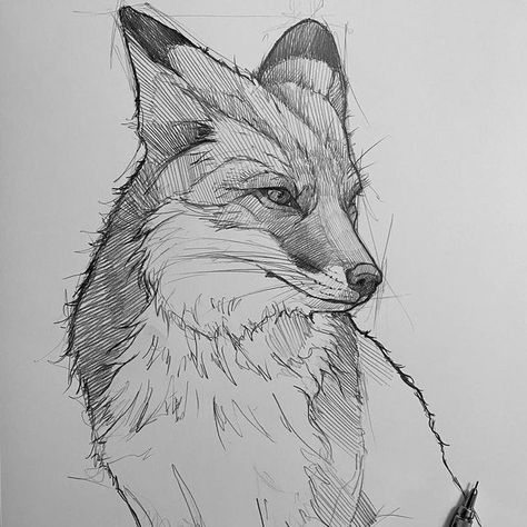 Fox Drawing Sketches, Hatching Drawing, Fox Sketch, Fox Sitting, Fox Drawing, Animal Drawings Sketches, Desenho Tattoo, Fox Art, Animal Sketches