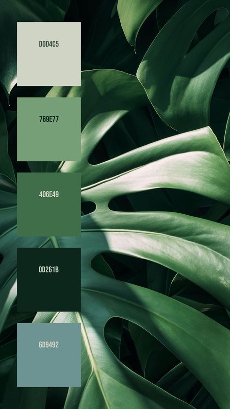 Colors:
D0D4C5 ° 769E77 ° 406E49 ° 0D261B ° 6D9492 Calming Decor, Green Branding, Calm Color Palette, Baby Room Themes, Color Collage, Cosmic Art, Nature Color Palette, Green Colour Palette, Monstera Leaves