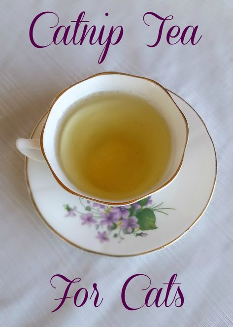 How To Make Catnip Tea, Catnip Tea For Cats, Diy Cat Treats Recipes, Homemade Cat Treats Recipes, Catnip Tea, Diy Cat Treats, Catnip Treats, Pet Recipes, Pet Treats Recipes