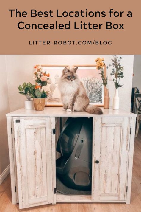 While having a litter box is essential for a feline family, the aesthetic of it leaves much to be desired. That is why a concealed litter box is a fantastic solution. There are multiple ways to hide litter boxes, including hidden within furniture, under the stairs, or even in a spare room or closet. 😻 Litter Robot Cover, Ways To Hide Litter Boxes, Litter Box Placement, Hide Litter Boxes, Hiding Cat Litter Box, Diy Litter Box, Hidden Litter Boxes, Automatic Litter Box, Cats Happy