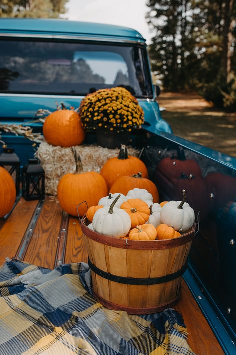 Fall Mini Shoot, Fall Aesthetics, Pumpkins And Gourds, Casa Halloween, Fall Mini Sessions, Fall Session, Fall Photography, Fall Fest, Fall Vintage