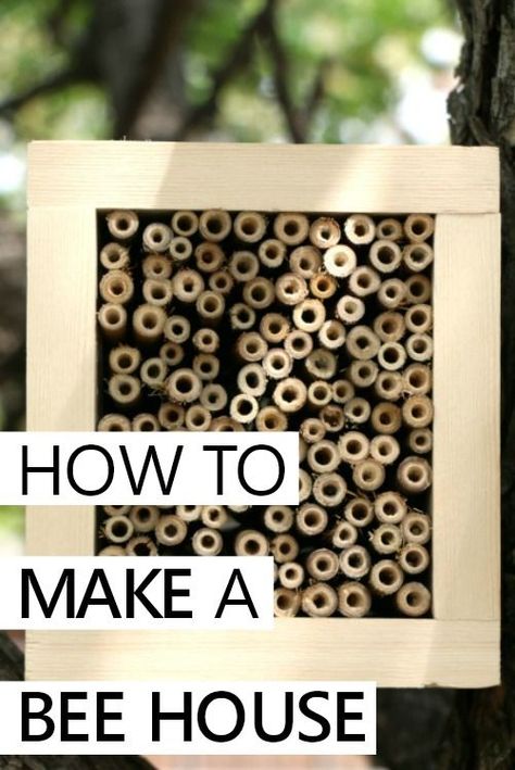 how to make a DIY bee house with bamboo garden stakes Diy Bee House, Insect Enclosure, House Garden Design, Garden Design Diy, Diy Bee, Mason Bee House, Birdhouse Projects, Eagle Project, Bamboo Diy