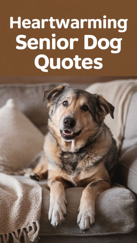 Celebrate the love and wisdom of our older canine companions with this collection of heartwarming senior dog quotes. Perfect for Akita lovers and fans of all breeds, these quotes capture the essence of man’s best friend, highlighting the special bond with old dogs. Whether you’re reflecting on the life of an adopted dog, celebrating a dog’s birthday, or cherishing memories of a beloved pet, these quotes are sure to touch your heart. Save this pin for inspiration on dog quotes that honor the loyalty, love, and joy that senior dogs bring into our lives. #SeniorDogQuotes #DogQuotes #OldDogLove #MansBestFriend #AdoptedDogQuotes #DogLife #AnimalQuotes Senior Dog Quotes Love, Senior Dog Quotes, Old Dog Quotes Love, Once In A Lifetime Dog Quotes, Childhood Dog Quotes, Old Dog Quotes, Relatable Dog Owner Quotes, Volunteer Quotes, Heartwarming Quotes