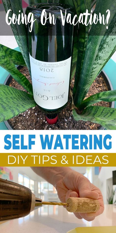 Here are some great DIY self watering ideas for your planters, your garden, or your house plants, so no matter how much fun you have on vacation, you don’t come back to a plant funeral! Self Watering Bottle, Diy Self Watering, Diy Self Watering Planter, Plant Waterer, Bottle Plant, Water Plants Indoor, Self Watering Containers, Diy Garden Bed, Self Watering Plants