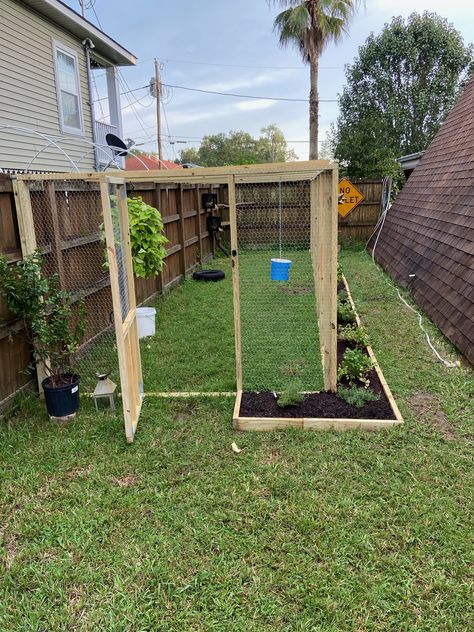 Chicken Enclosure Ideas, Coop Roost Ideas, Chicken Coop Roost Ideas, Chicken Coop Roost, Chicken Roosting Bars, Chicken Roosts, Chicken Roost Ideas, Small Coop, Roosting Bars