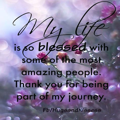 My Life Is So Blessed With Some Of The Most Amazing People. Thank You For Being Part Of My Journey. - Hugs & Kisses Thank You Quotes For Support, Thank You Quotes For Friends, Grateful Quotes, Thankful Quotes, Friend Birthday Quotes, Quotes Friendship, Thank You Quotes, Gratitude Quotes, Real Friends