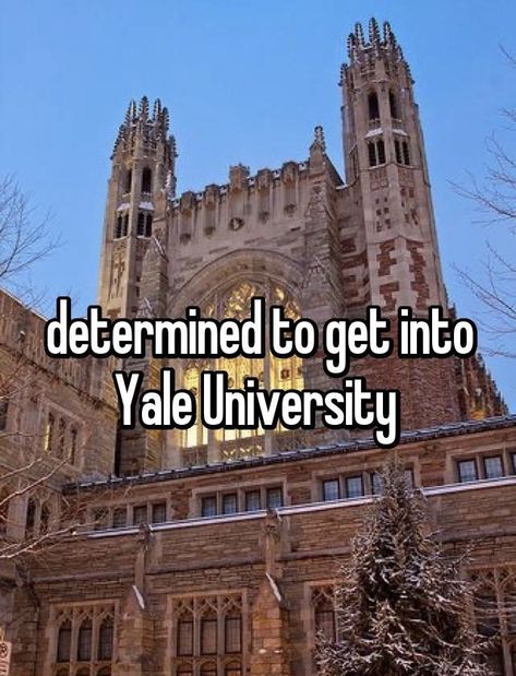 University Inspiration, Harvard Yale, Yale Law School, Law School Life, College Vision Board, Law School Inspiration, College Motivation, School Goals, Career Vision Board