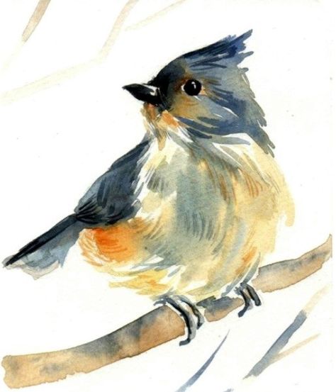 Bird Art Watercolor, Birds Watercolor Paintings, Water Colour Birds, Watercolor Art Birds, Watercolor Birds Paintings, Watercolor Bird Paintings, Watercolor Birds Tutorial, Watercolour Birds, Bird Watercolor Art