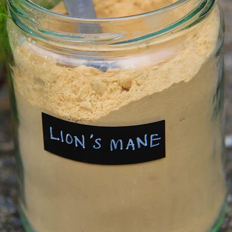 Lion's Mane Hot Drink Recipe - Kind Earth Lions Mane Mushroom Powder Recipe, Lions Mane Recipe, Quinoa Burger Recipe, Veggie Keto, Lion's Mane Mushroom, Vegan Bread Recipe, Hot Drinks Recipes, Mushroom Benefits, Quinoa Burgers