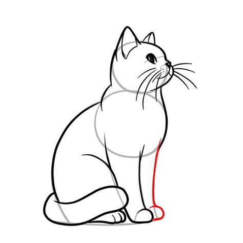 How to Draw Cats - 19 Easy Guides in One Tutorial - SketchOk Easy Cat Drawing Tutorial, Cat Drawing Side View, Realistic Cat Drawing, How To Draw Cats, Simple Outlines, Playful Poses, Draw Cats, Simple Cat Drawing, Kawaii Cats