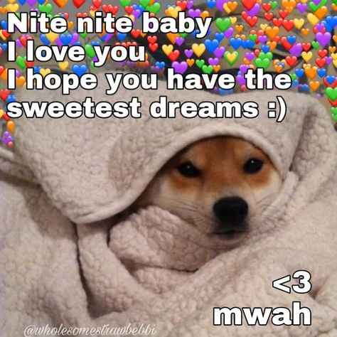 Good Night Lover, Good Night Meme, Good Night Love You, Good Night For Him, Love Memes For Him, Sweet Memes, Good Night Cat, Youre My Favorite Person, Good Night I Love You