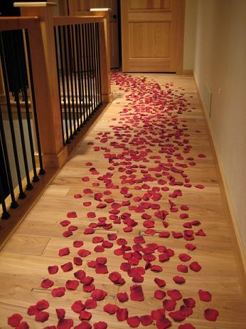 freeze dried rose petals to make beautiful aisles at your wedding Candlelit Room, Rose Petal Candle, Wedding Aisles, Pay Check, Silk Rose Petals, Realistic Rose, Romantic Ideas, Red Rose Petals, Wedding Room