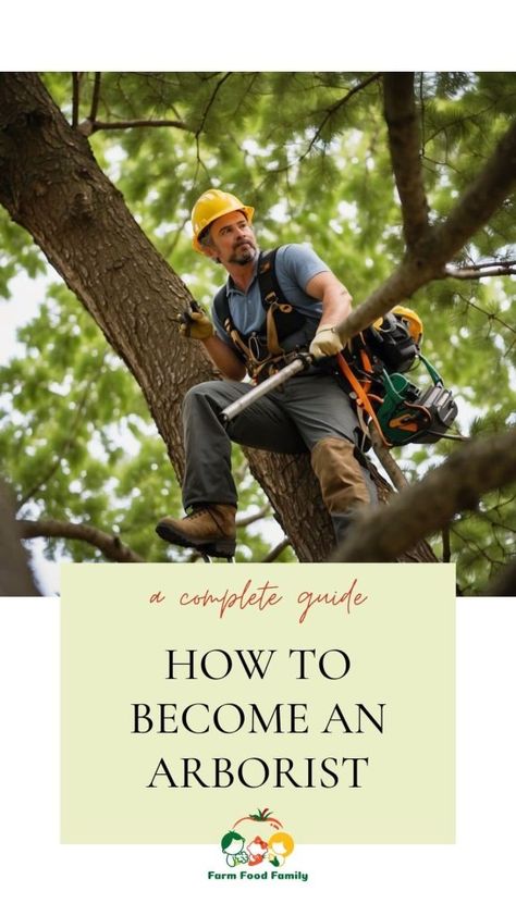 How to Become an Arborist: Your Guide to a Career in Tree Care 4