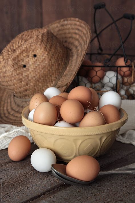 Balot Penoy, Egg Breakfast Recipes, Freeze Eggs, Egg Photography, Eggs In A Basket, Raw Eggs, Egg Pictures, Eggs For Breakfast, Egg Styles