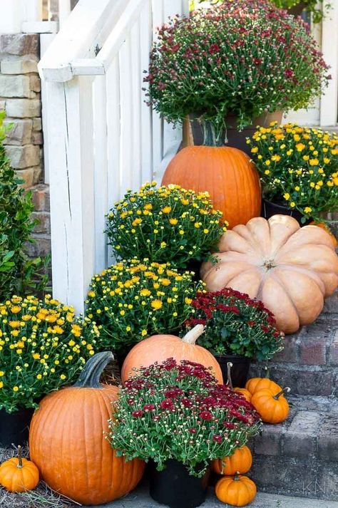 Front Yard Fall Decor, Front Porch For Fall, Mums In Pumpkins, Red Pumpkins, Fall Planters, Fall Front Porch Decor, Halloween Front Porch, Fall Thanksgiving Decor, Front Porch Decor