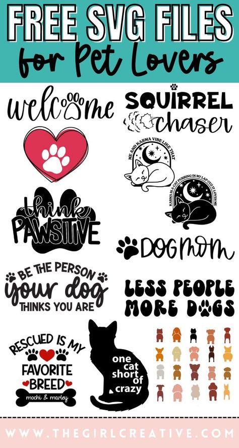 Diy Dog Bandana, Handmade Dog Accessories, Animal Kingdom Shirts, Cricut Svg Files Free, Cricut Birthday, Free Svgs, Easter Stickers, Dog Projects, Dog Crafts