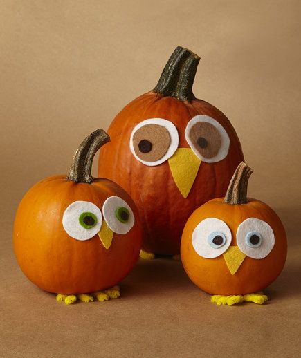 Owls | Not every pumpkin needs to be a jack o’ lantern. Use the season’s best bounty of gourds to decorate your table and wow your dinner guests. Pumpkins Drawing, Pumpkins Designs, Pumpkins Illustration, Easy Pumpkin Decorating, Pumpkins Ideas, Pumpkins Diy, Owl Halloween, Casa Halloween, Pumpkin Carving Ideas