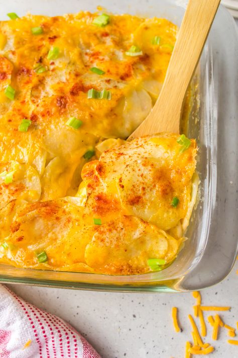 Microwave Scalloped Potatoes Microwave Scalloped Potatoes Cheese, Microwave Scalloped Potatoes Easy, Microwave Potato Recipes, Microwave Scalloped Potatoes, Scalloped Potatoes Quick, Microwave Potatoes, Healthy Scalloped Potatoes, Easy Scalloped Potatoes Recipe, Scalloped Potatoes Easy