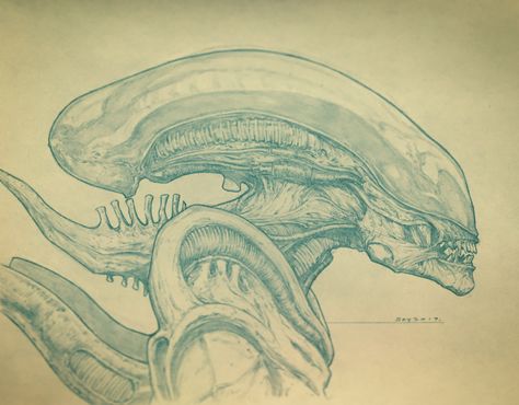 Xenomorph sketch I did on paper😬 Xenomorph Illustration, Xenomorph Sketch, Aliens Sketch, Xenomorph Drawing, Alien Sketch, Xenomorph Art, Giger Alien, Predator Alien Art, Giger Art