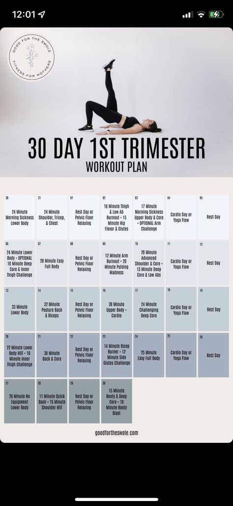 1st Trimester Workout Plan, First Trimester Full Body Workout, Pregnancy Workouts 1st Trimester, 1st Trimester Workout, Pregnancy Workout 1st Trimester, Pregnancy Exercise First Trimester, First Trimester Workout, Glute Challenge, Pregnancy Diet Plan