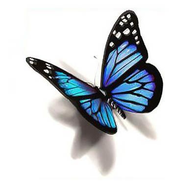 Blue 3D Butterfly Tattoo Design                                                                                                                                                                                 More Tato 3d, Realistic Butterfly Tattoo, Tatoo 3d, Borboleta Tattoo, Bluebird Tattoo, 3d Butterfly Tattoo, Blue Butterfly Tattoo, Tattoo 3d, Kunst Tattoos