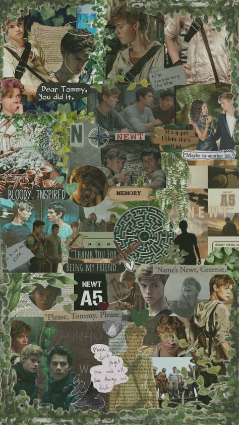 Dylan O'brien Maze Runner, Maze Runer, Maze Runner Thomas, Quote Collage, Maze Runner Trilogy, Young Leonardo Dicaprio, Newt Maze Runner, Maze Runner Movie, Teen Wolf Dylan