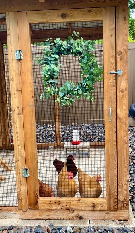 Shed Coop Conversion, Predator Proof Chicken Run, Chicken Run Decor, Chicken House Ideas Diy, Decorating Chicken Coop, Design Chicken Coop, Chicken Ramp, Chicken Run Door, Chicken Coop Decorations