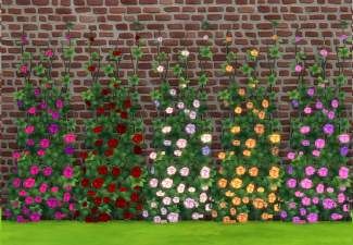 Build Cc Sims 4, Sims Vampire, Sims 4 Vampire Cc, Sims 4 Garden, Wall Vines, Wall Climbing Plants, Sims 4 Hair Male, Sims 4 Black Hair, Sims Furniture