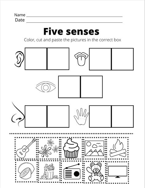 My Senses Activities Preschool, February Preschool Worksheets, Preschool Name Recognition, Five Senses Worksheet, Five Senses Preschool, Preschool Rules, Birthday Board Classroom, Senses Preschool, Reading Comprehension For Kids