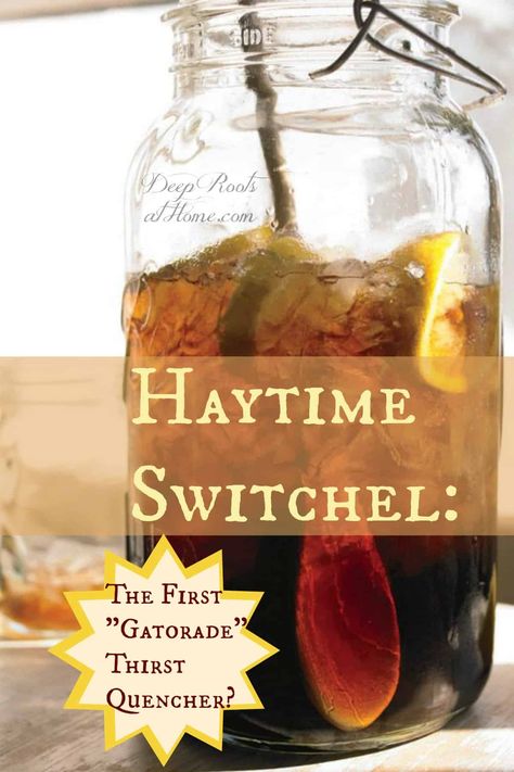 Switchel Recipe, Fermentation Recipes, Ginger Water, Electrolyte Drink, Deep Roots, Homemade Drinks, Healthy Drinks Recipes, Health Drink, Fermented Foods